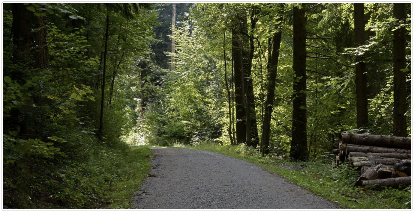 Mobilitätsservice auf Waldfriedhof Lauheide